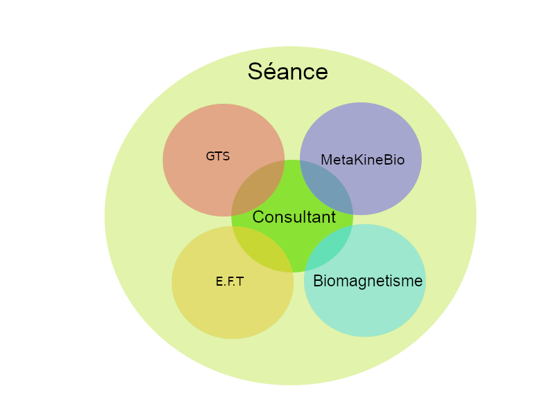 Techniques utilisées