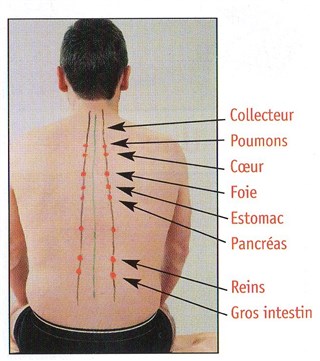 biomagnétisme humain dos 1